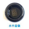 水中显像