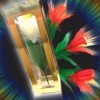 日本最新--水晶管出花