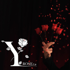 双手玫瑰二变八(Y-Rose 2.0)