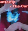 Butterfly The Card-化蝶单车牌组