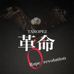 日本革新绳迹