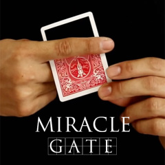 奇迹之门(神秘边框,红背/蓝背) Miracle Gate (ZZ021CT)