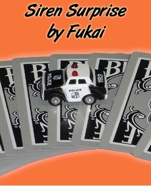 日本小车找牌(警车找牌)