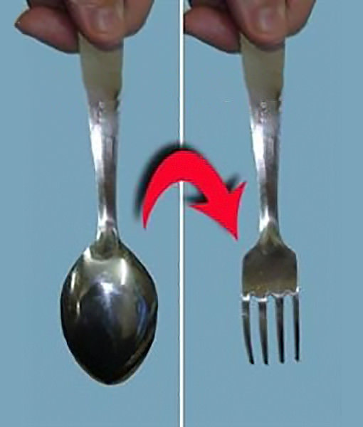 汤勺变叉子(Spoon to Fork)