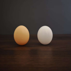 带孔仿真塑料鸡蛋（丝巾变蛋） Fake Egg with Hole (Silk to Egg)