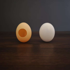 带孔仿真塑料鸡蛋（丝巾变蛋） Fake Egg with Hole (Silk to Egg)