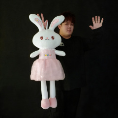闪现兔子 Appearing Rabbit