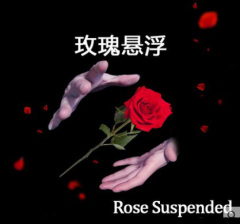 漂浮玫瑰