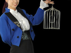 高品质自动弹开小鸟笼(银色) Appearing Bird Cage - 12 inch Steel, Small