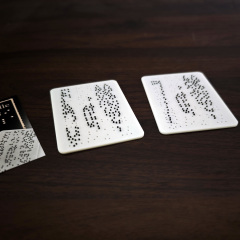 Touch of Fate 盲文预言