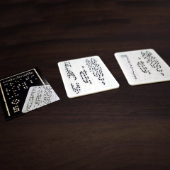 Touch of Fate 盲文预言