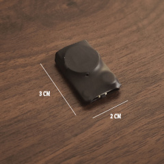 电子版猜硬币 2.0 Which Hand 2.0 by J.C Magic