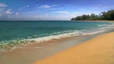 坎昆之旅 A Trip to Cancun by George Iglesias & Twister Magic