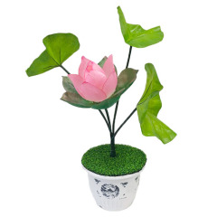 遥控荷花开合 Blooming Lotus - Remote Control by J.C Magic