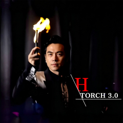 火把消失3.0 TORCH 3.0
