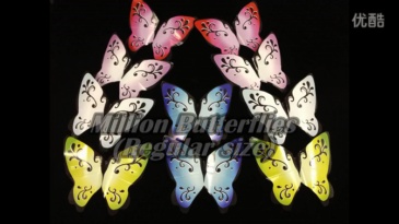 空手出蝴蝶 Million Butterflies