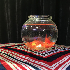 创新有机玻璃鱼缸出鱼(小号) Magic Goldfish Bowl (Small) by J.C Magic