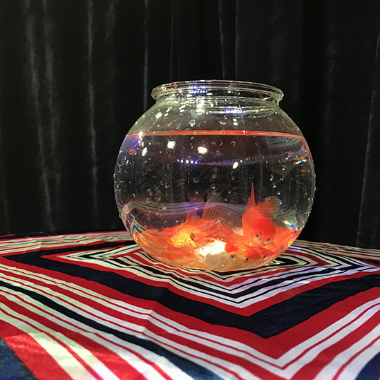 创新有机玻璃鱼缸出鱼(小号) Magic Goldfish Bowl (Small) by J.C Magic