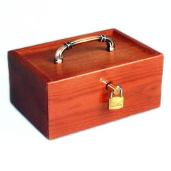 带铜条的预言箱The Future Perfect Prediction Chest