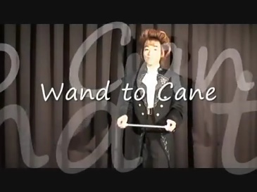 闪电伸缩棒(黑色) Wand to Cane - Black 