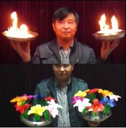 火盆出双花 Double Flowers From Fire Pan