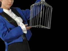 高品质自动弹开中鸟笼(银色) Appearing Bird Cage - 14 inch Steel Medium