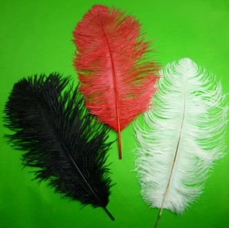 驼鸟毛--(红.白.黑色可选)弹棒专用 Ostrich Feathers for Appearing Cane/Vanishing Cane (3 Colors)