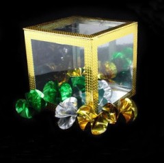 大号透明出彩箱(透明立方体) 8 inch Crystal Clear Cube - Large