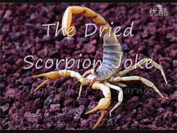 令人吃惊的蝎子(整人蝎子魔术) Dried Scorpion Surprise