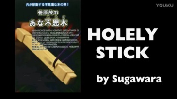 黑洞频率(幸运木签) Holely Stick by Sugawara