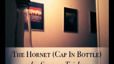 The Hornet--终极版瓶盖入瓶