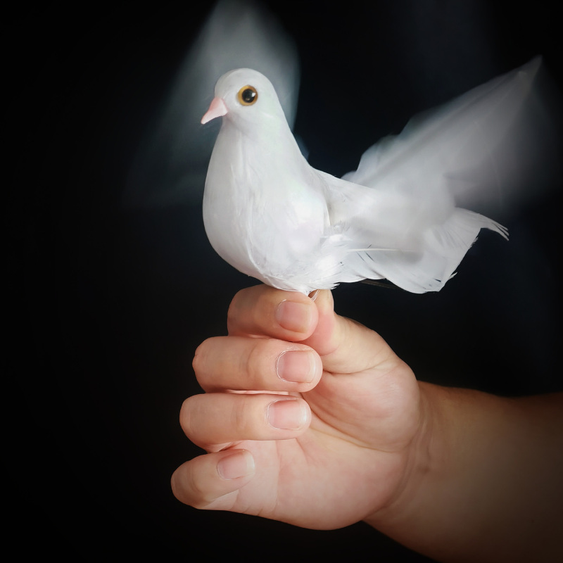 电子仿生鸽子2.0(Electronic Bionic Dove 2.0)