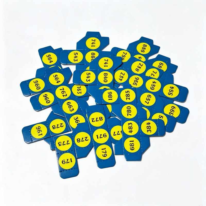 快速心算骰 Speed Math Dice
