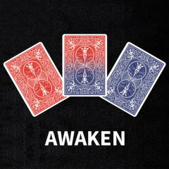唤醒(Awaken)