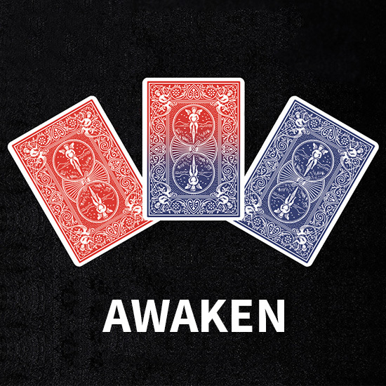 唤醒(Awaken)