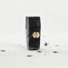通灵之棺 Spirit Coffin