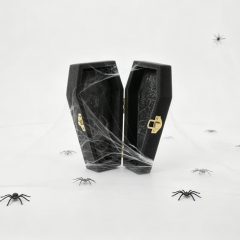 通灵之棺 Spirit Coffin