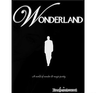 闪现硬币装置+教学(Wonderland)