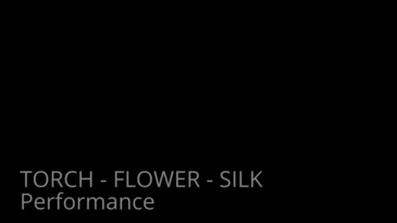 火把变玫瑰 TORCH TO ROSE