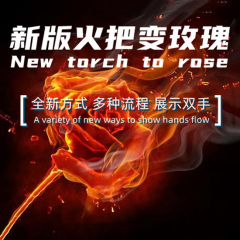 新版火把变玫瑰 New Torch to Rose