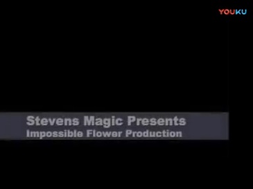透明箱变花 Impossible Flower Production