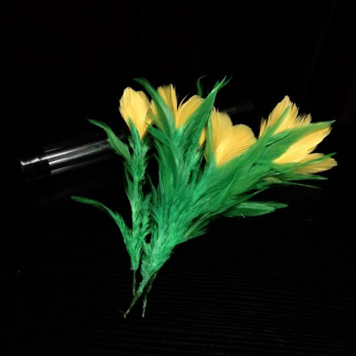 一花变五(黄花) Five in One Flower - Feather