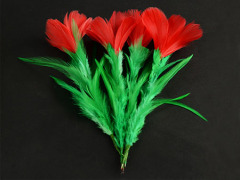 一花变五(红花) Five in One Flower - Feather