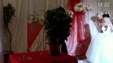 遥控慢开玫瑰花(20朵) Blooming Rose Bush - Remote Control - 20 Flowers