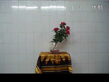 遥控亮灯玫瑰花    Light Roses Set - Remote Control