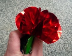 闪光空手来花组(圆花) 10 Spring Flowers from Fingertips