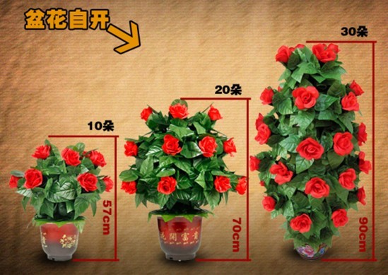 遥控慢开玫瑰花(30朵)   Blooming Rose Bush - Remote Control - 30 Flowers