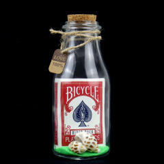瓶中扑克牌 Deck in a Bottle