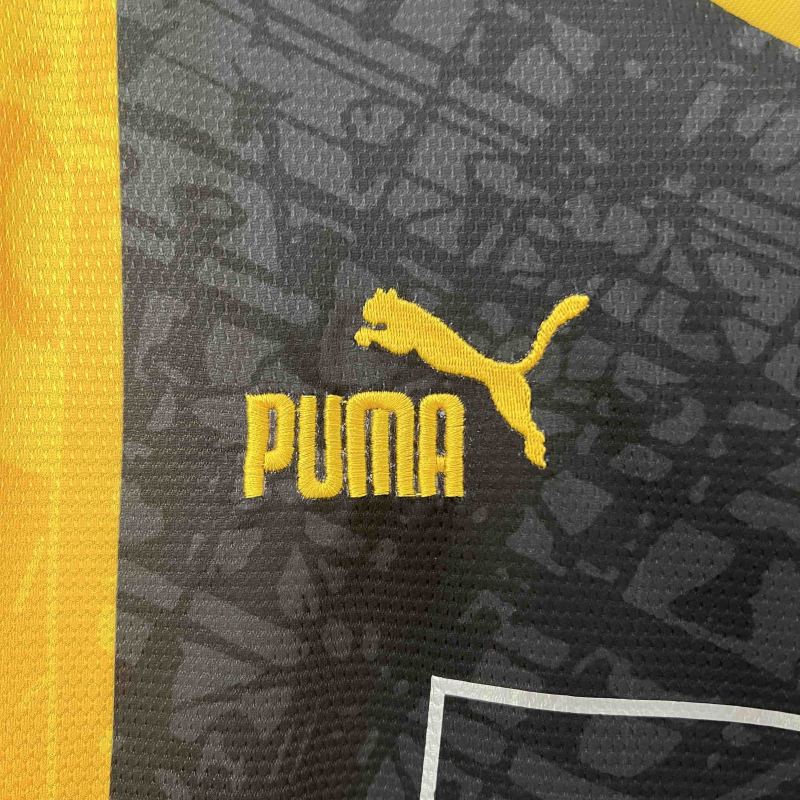 24-25 Borussia Dortmund Special Edition Yellow Kit Football Jersey