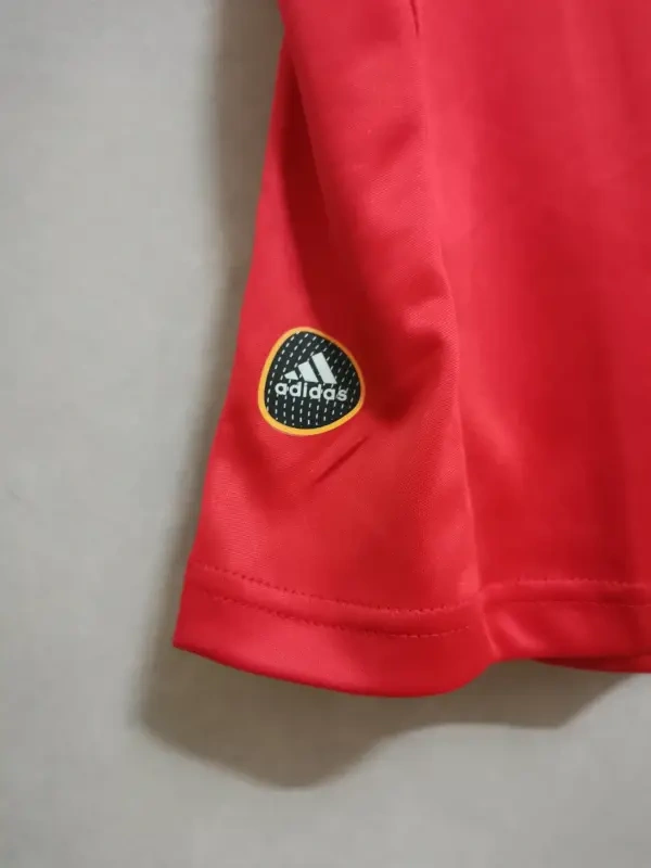 2010 Spain Nation Retro Jersey Home World Cup